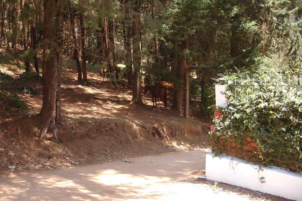 Bed and Breakfast The Red House Ooty Exterior foto